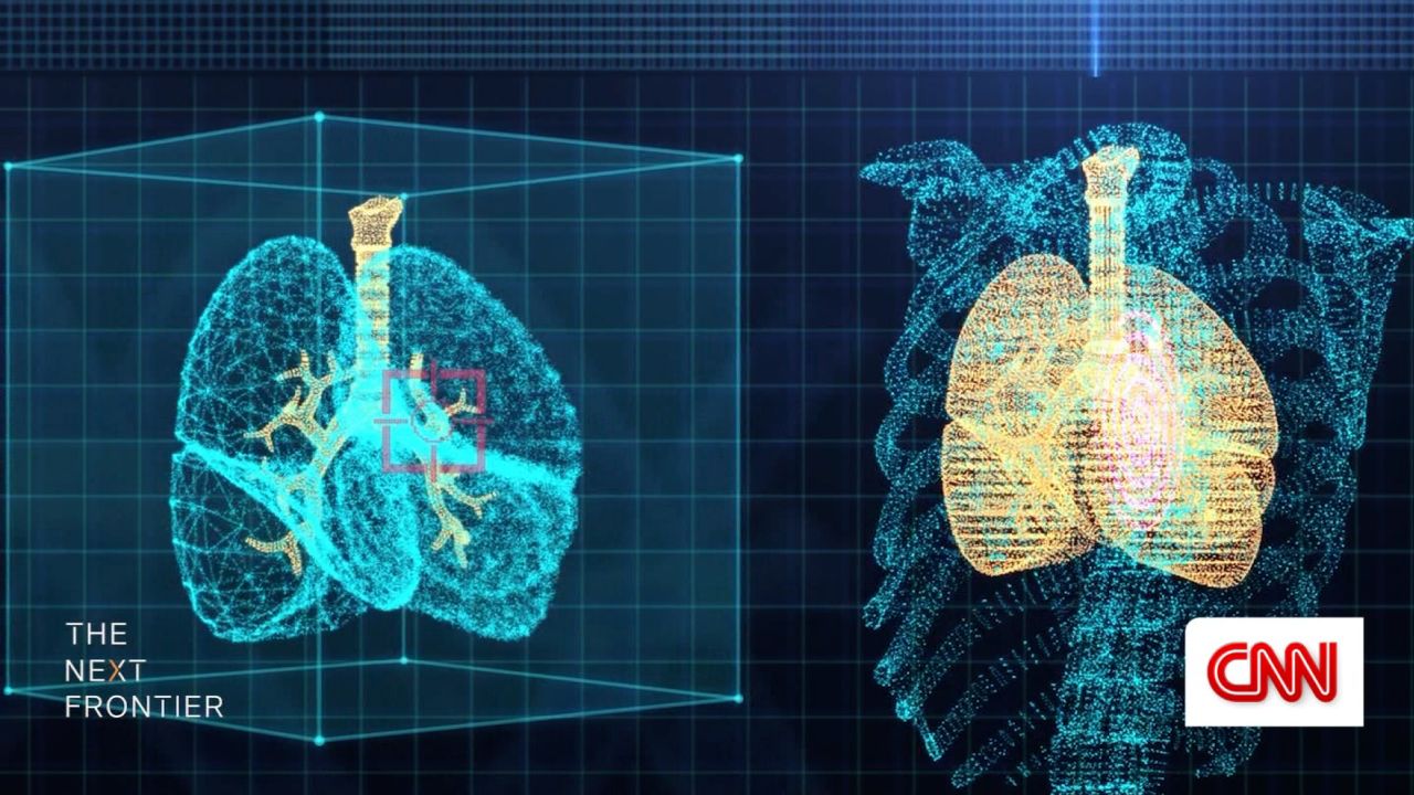 Medical digital twin visualization showing 3D anatomical modeling