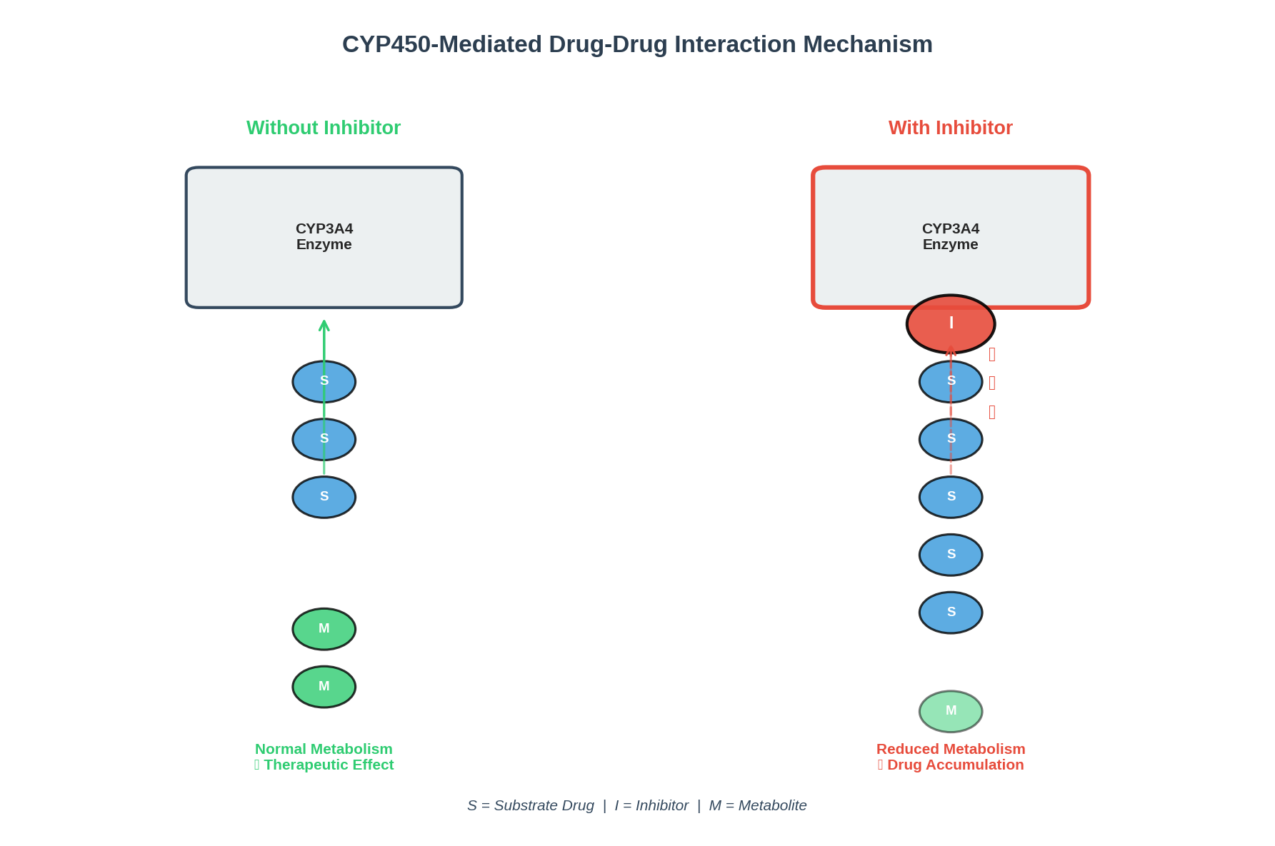 Drug-Drug Interaction Mechanism