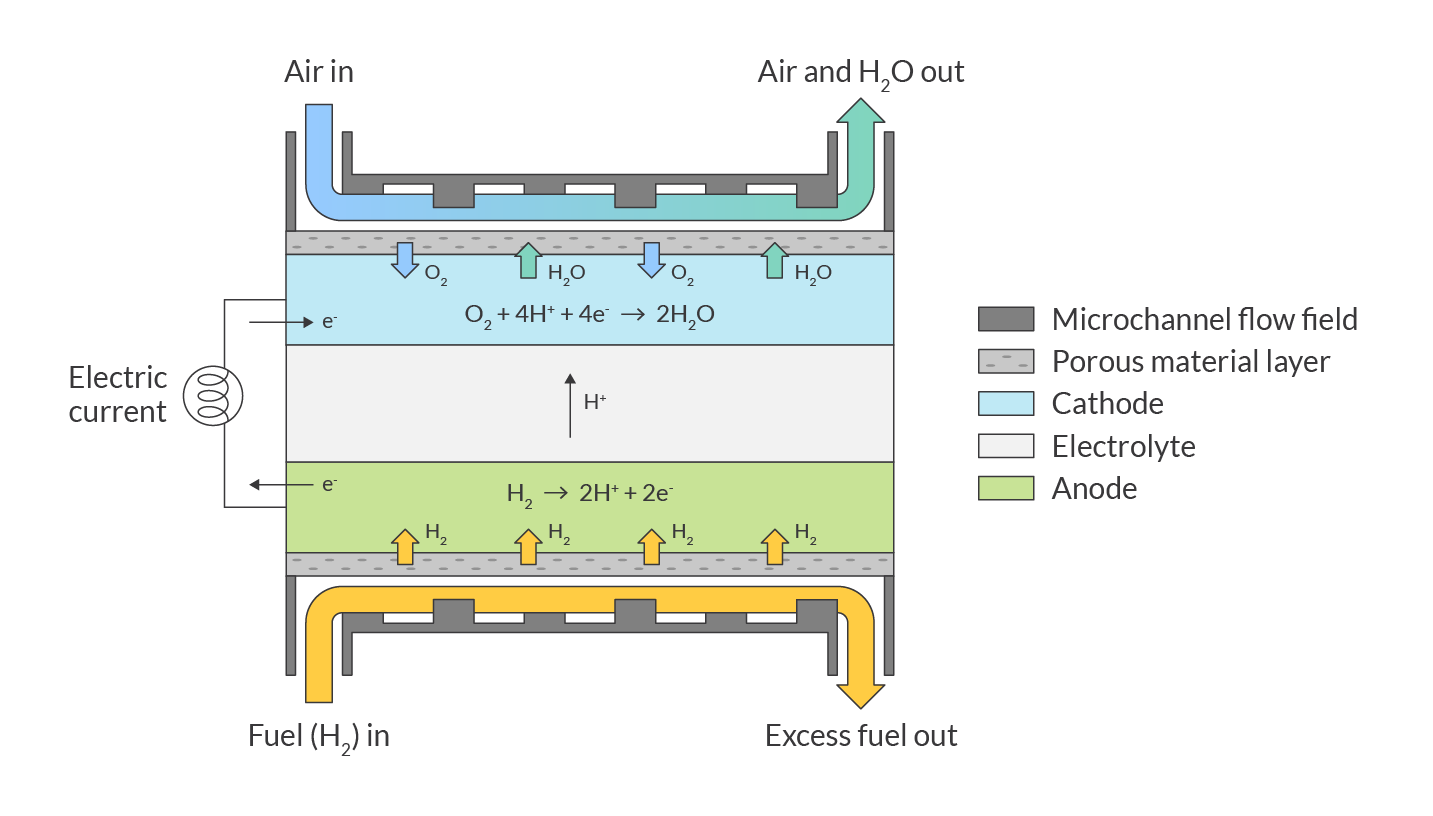 Hydrogen fuel cell simulation schematic showing electrochemical modeling layers