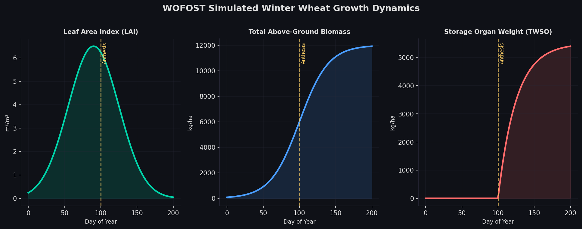 WOFOST Simulated Winter Wheat Growth Dynamics