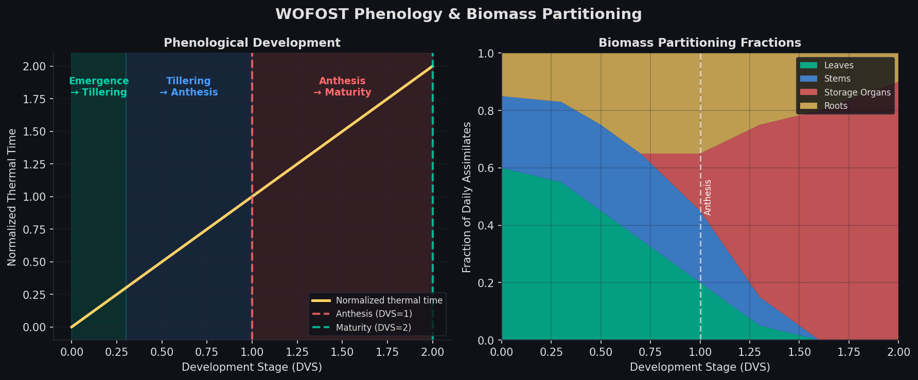WOFOST Phenology and Biomass Partitioning