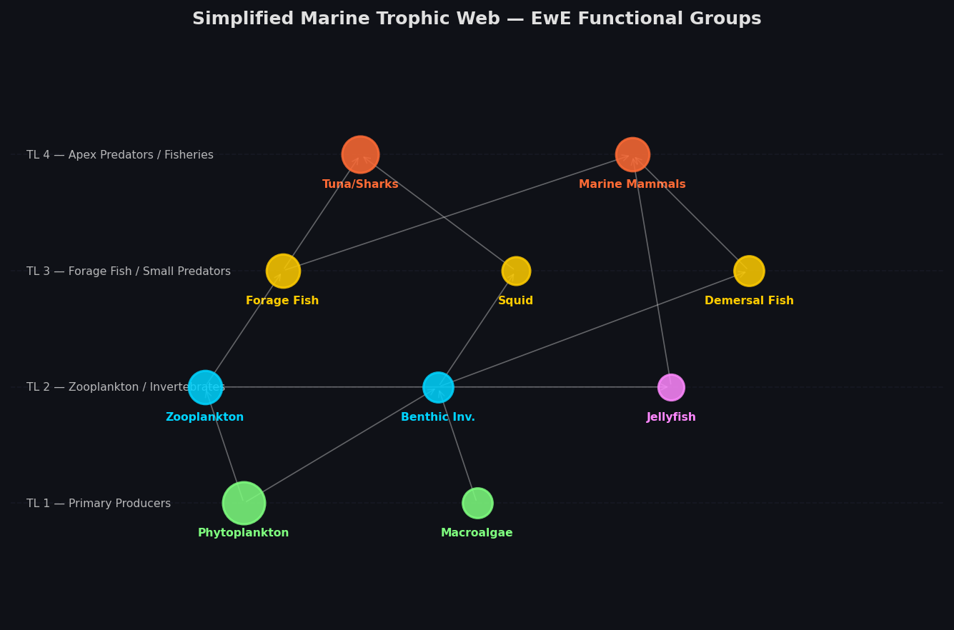 Simplified Marine Trophic Web showing EwE functional groups and feeding links